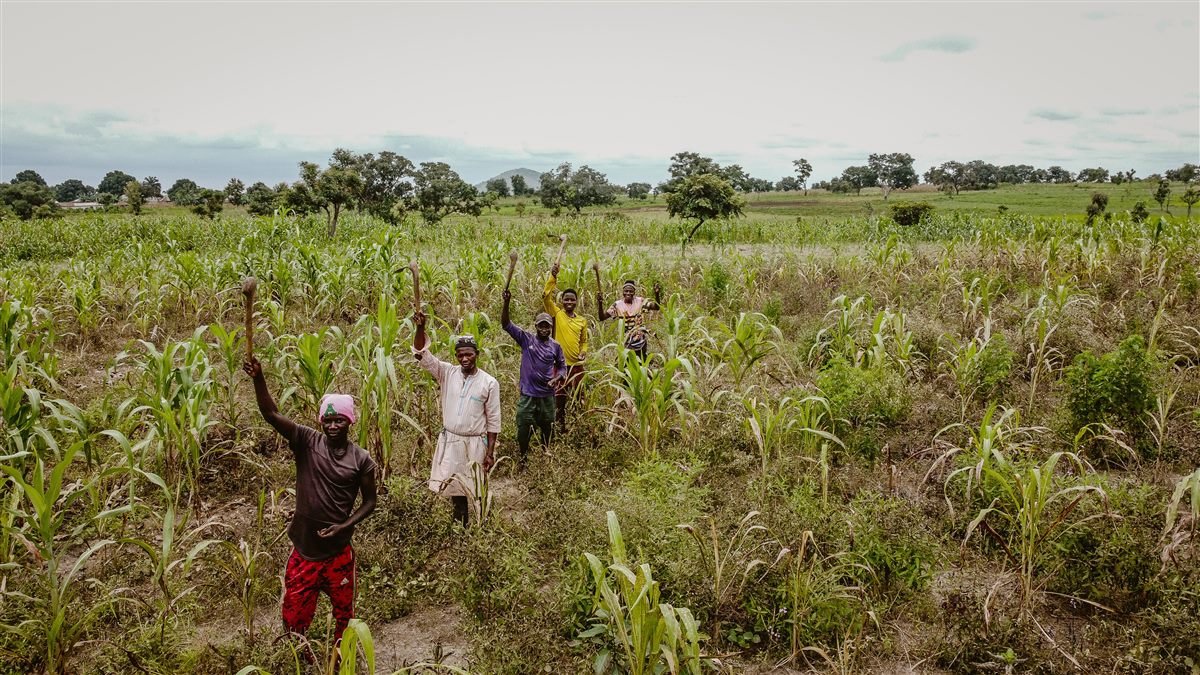 Farm workers cultivating crops in Akwa Ibom State